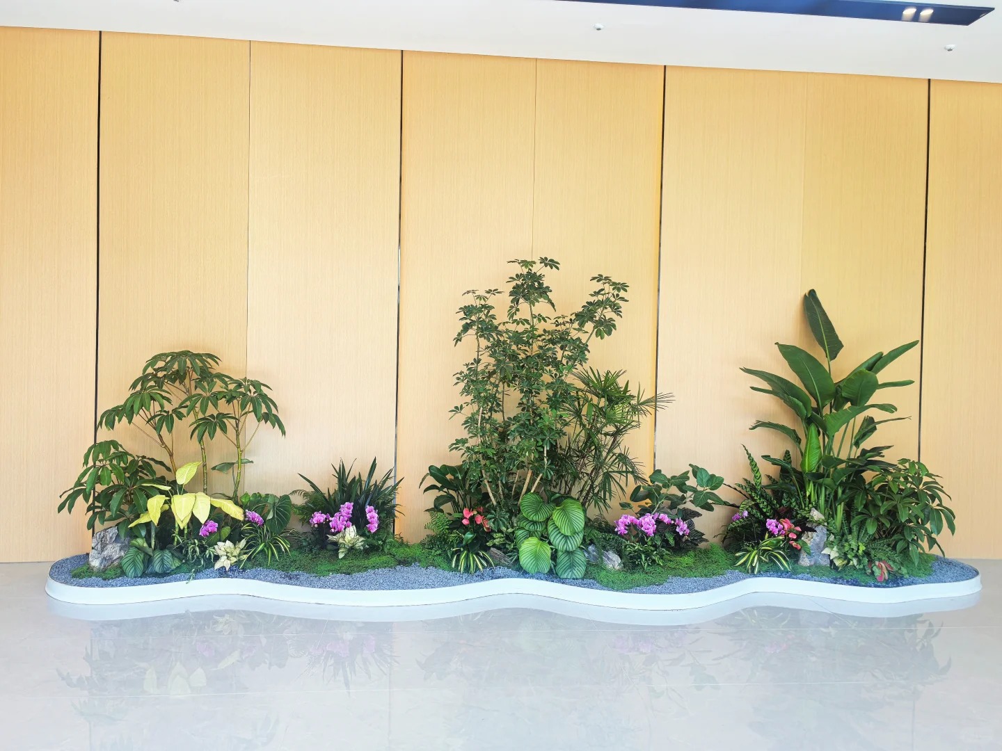 专业植物出租在宁波镇海,装点生活新模样