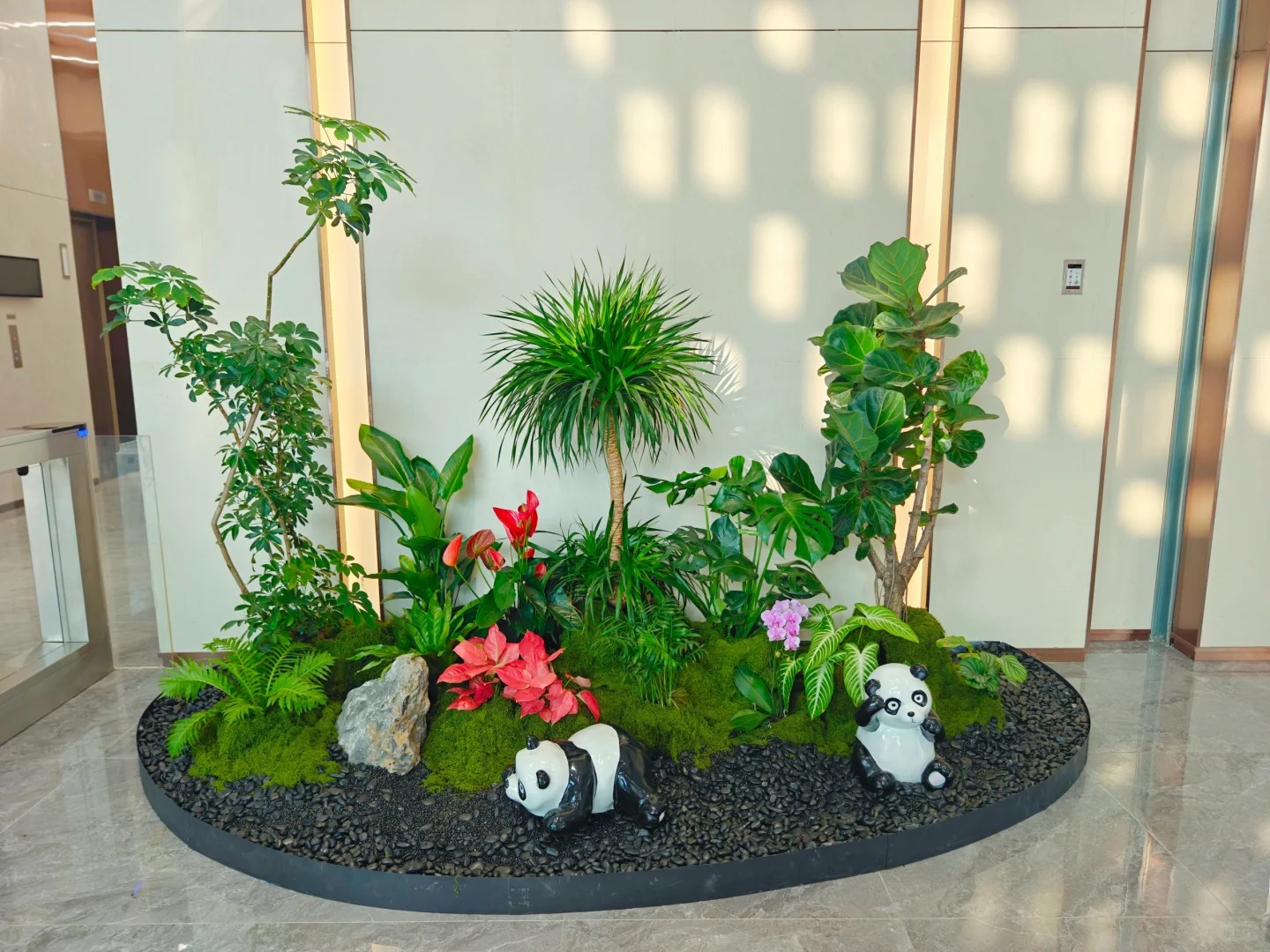 专业植物出租在宁波镇海,装点生活新模样